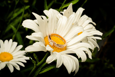 Engagement Ring Photos Utah