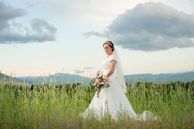 Cache Valley Mountains Wedding 