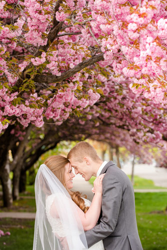 Logan Wedding Photographer Spring Blossoms