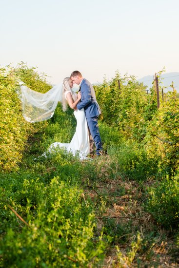 Wedding Photographer at The Vineyards at Mt Naomi