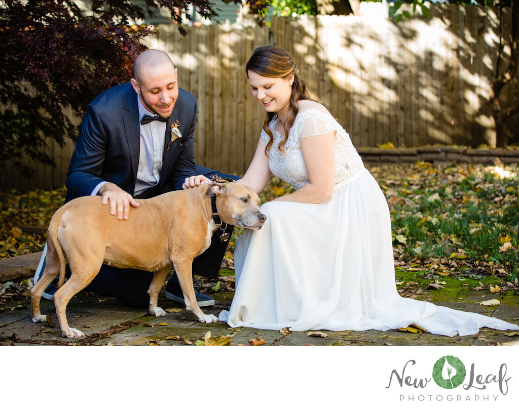 Dog Friendly Wedding Photographers