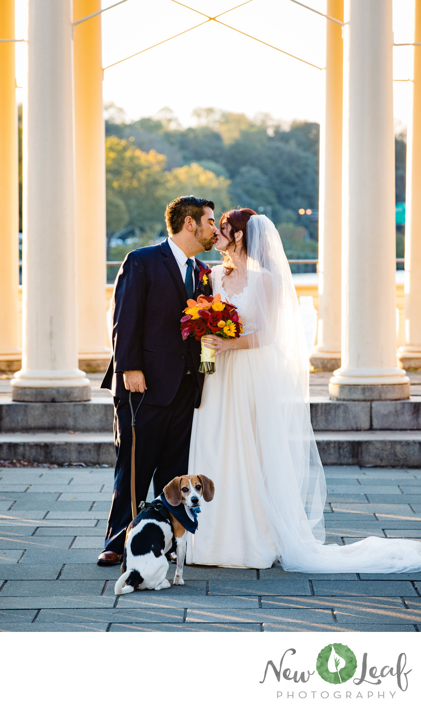 Pet-Friendly Weddings in Philadelphia