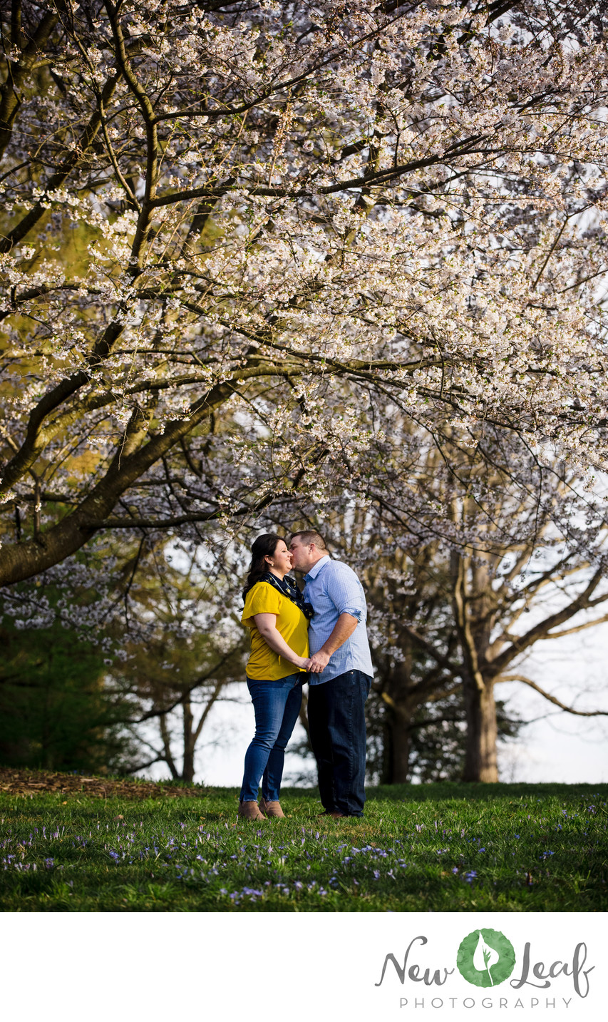 Spring Engagement Session at Longwood Gardens