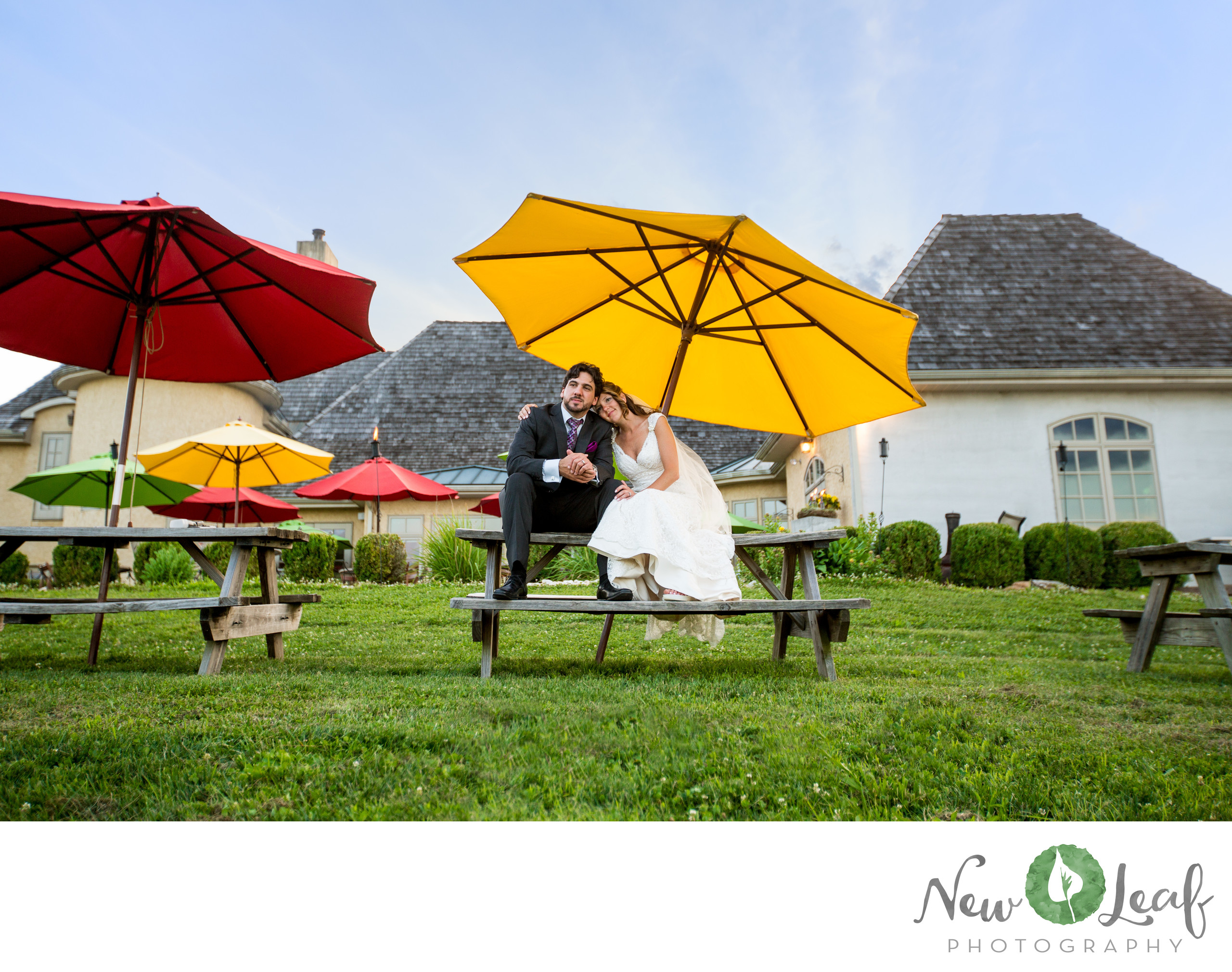 Moon Dancer Winery Wedding Weddings by New Leaf