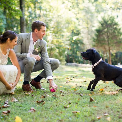 Pet Friendly Wedding Vendors in PA