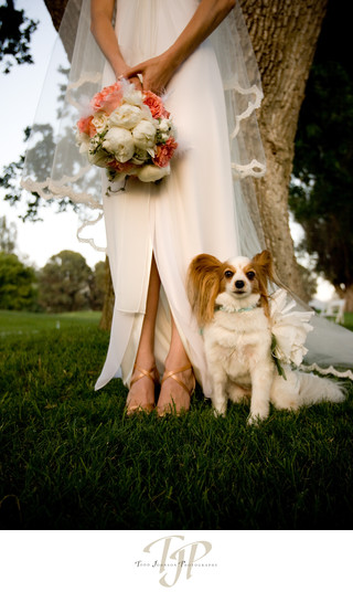 International award winning wedding photographer in LA