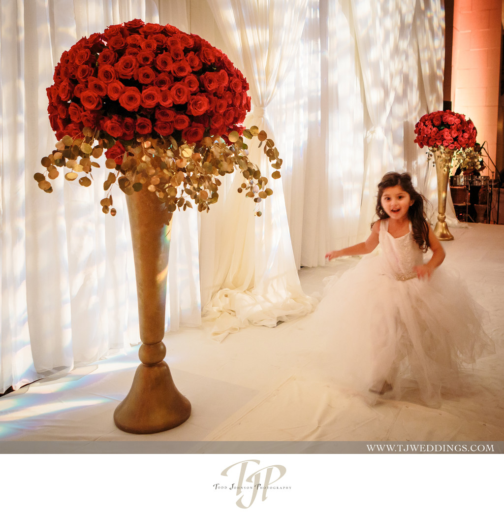 Wedding photography at THE MAJESTIC DOWNTOWN. Persian wedding Coordination by Events by Goli instagram.com/eventsbygoli/ Magnolia Village Flowers https://www.facebook.com/magnoliavillage.flower