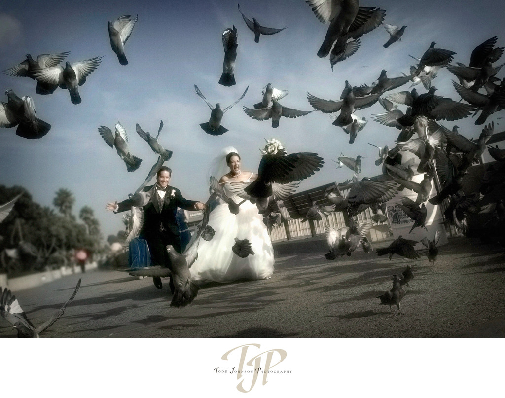 Ventura Wedding photography