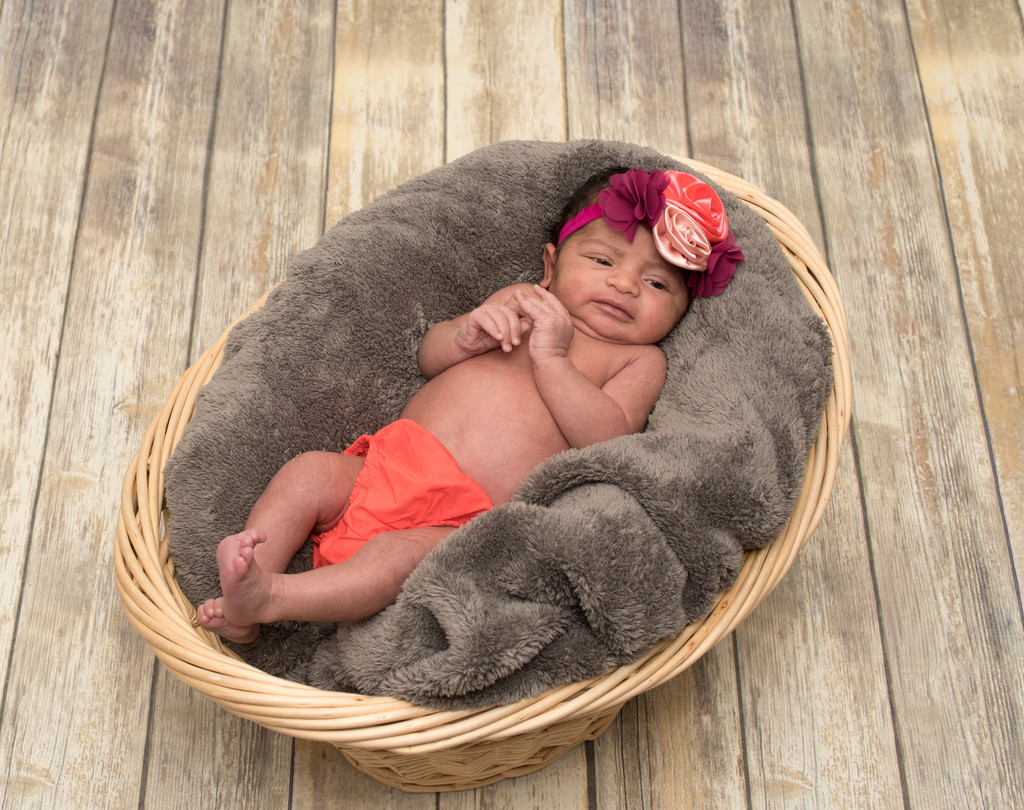 Infant Newborn Baskets and Hair Bows Sacramento