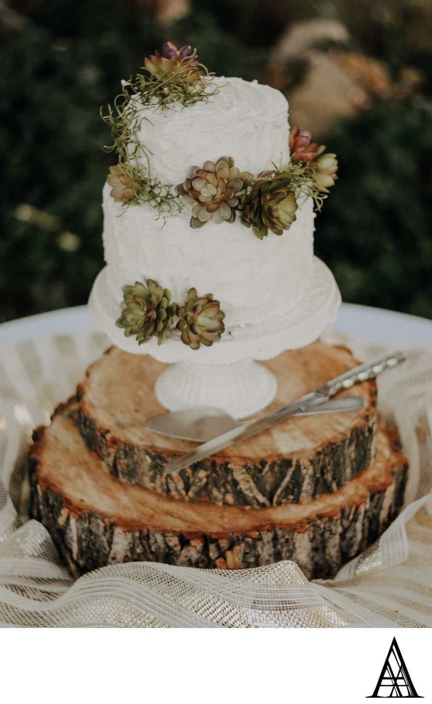 Wedding Cake Sacramento Photography Services