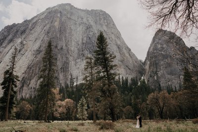 Destination Wedding Photographer Yosemite Mountain View