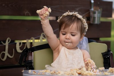 Cake rules, 1 year old birthday party, CP family photog