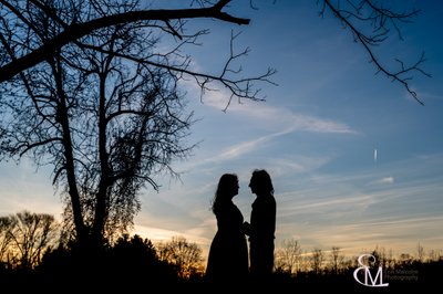 Romantic silhouette, engagement session, blue hour