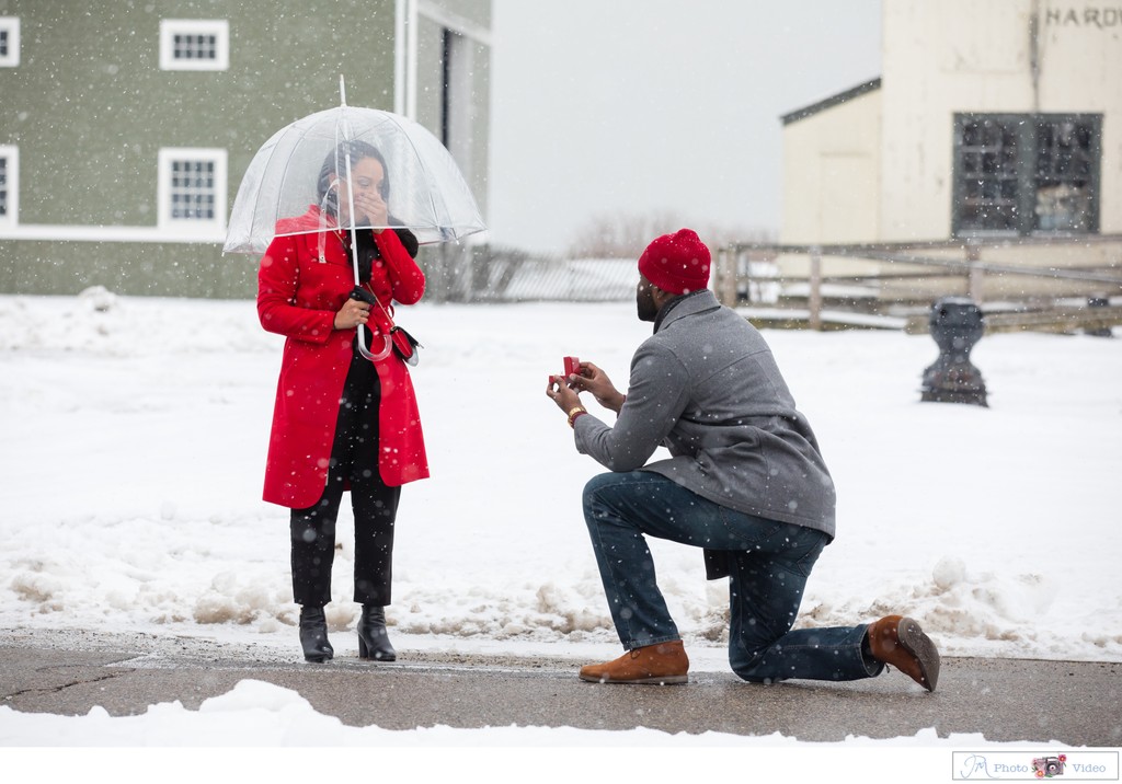 Surprise Marriage Proposal Photographer
