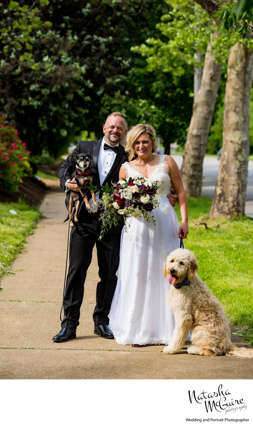 groom bride dogs