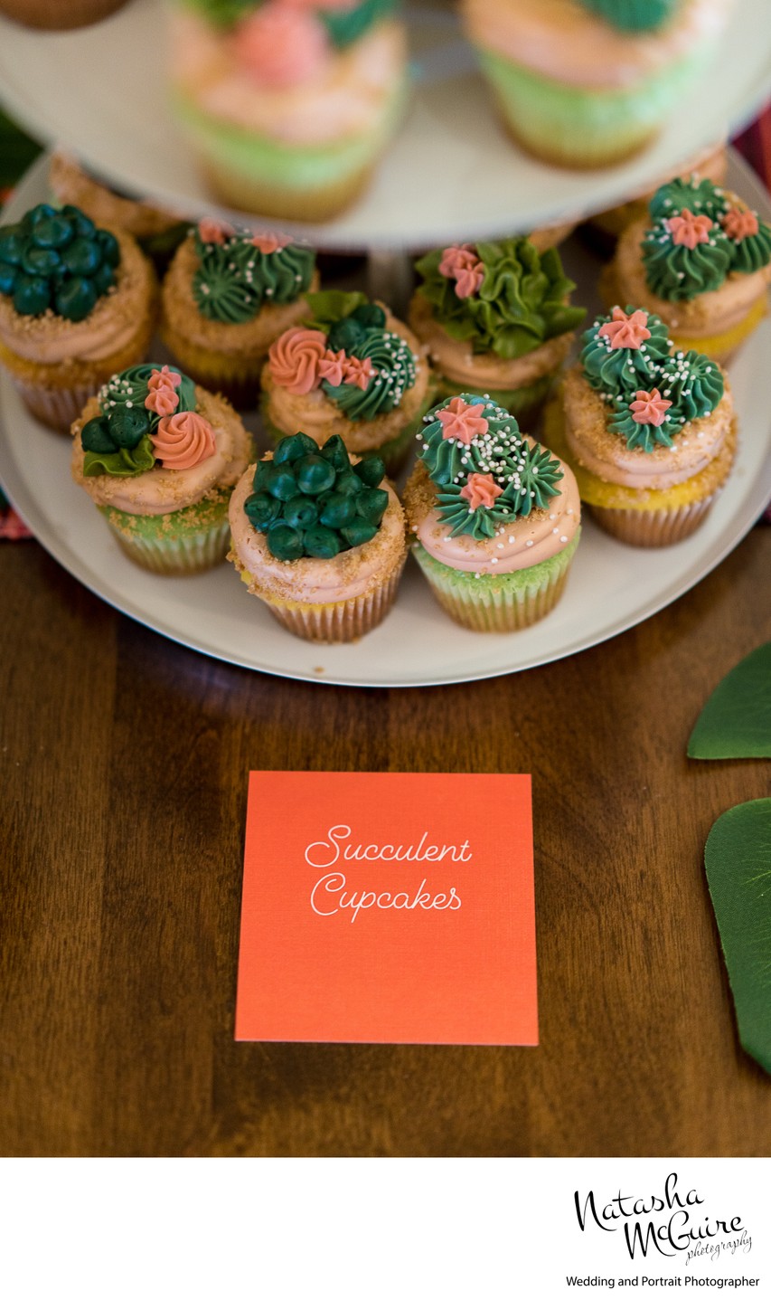 Succulent cupcakes by Spoil Me Sweetly