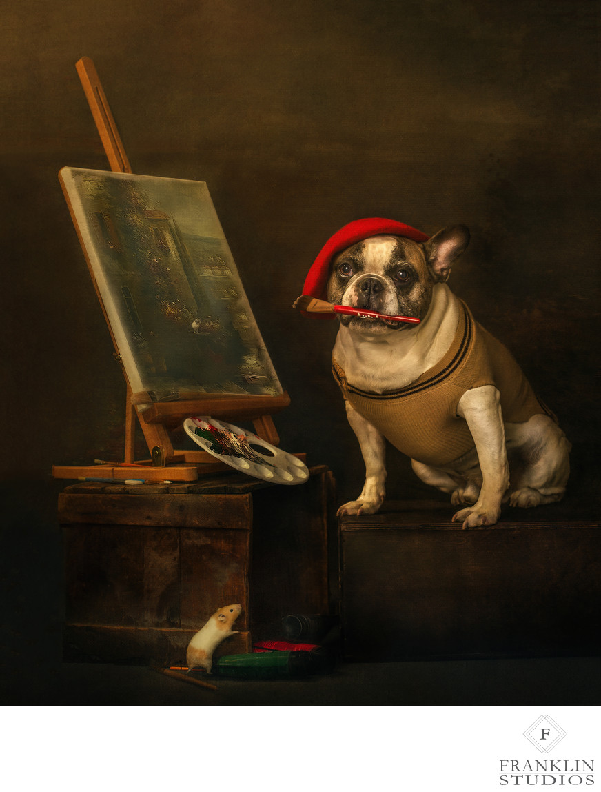 Photograph of a French Bulldog being a french painter