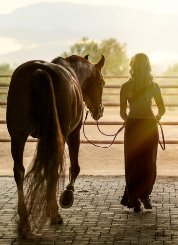 Portraits of a Girl with Her Horse Near Scottsdale