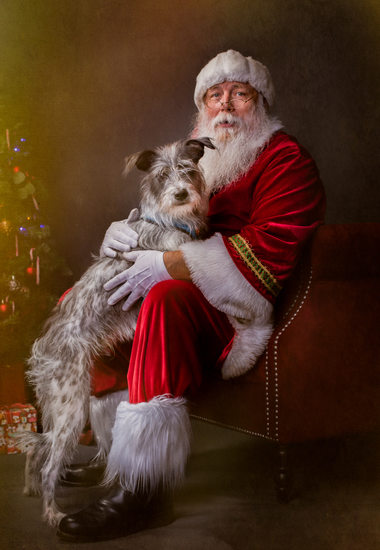 Classic Pet Photos with Santa in Scottsdale Arizona 