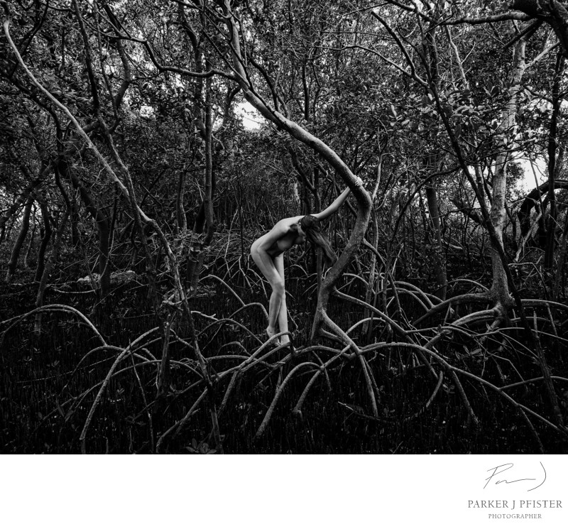 mangrove nude