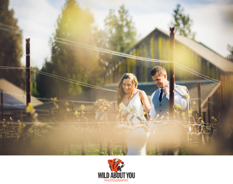 elopement photographer wine country
