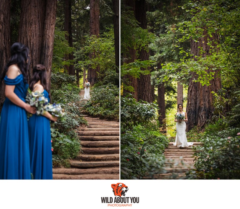 Redwoods Bay Area Wedding Photography