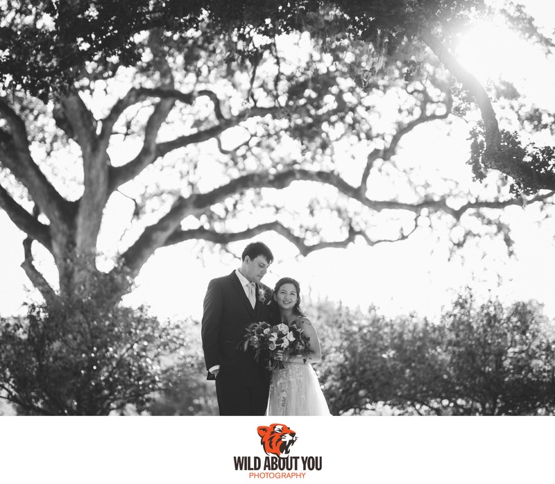 wedding photographer Wine Country