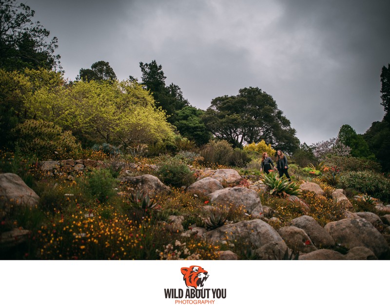 Wedding Photographer UC Berkeley Botanical Garden