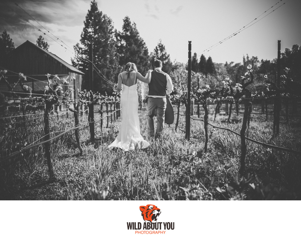 wine country elopement photographer