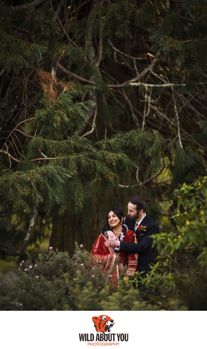 wedding photographer Berkeley redwoods