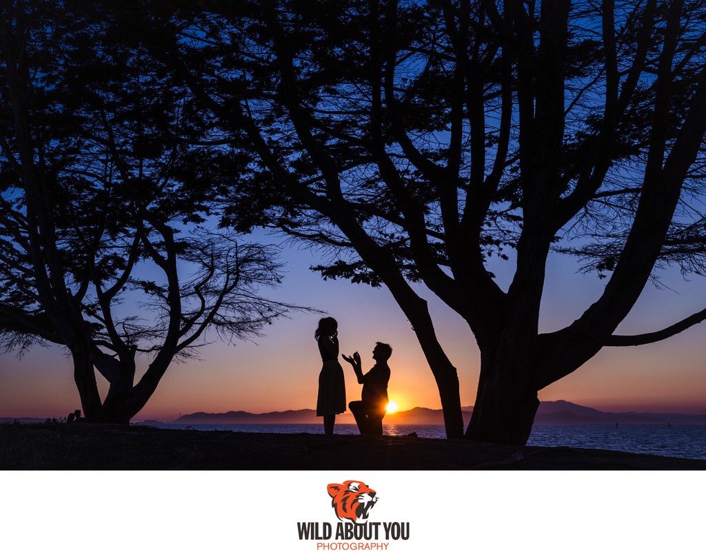 SF Bay Area proposal engagement photography