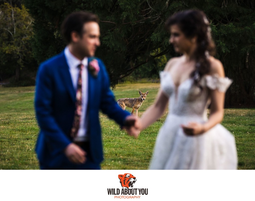  Brazilian Room wedding photographer