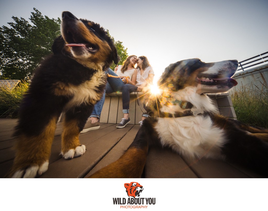 gay-friendly Berkeley engagement photographers