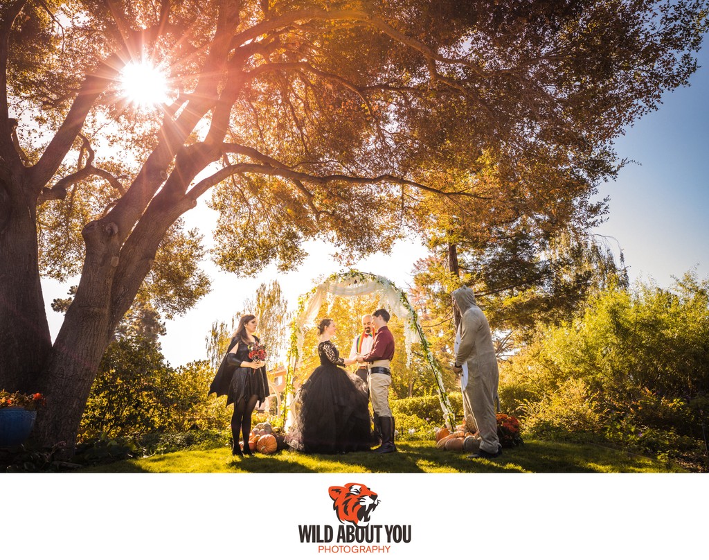 Berkeley elopement photography