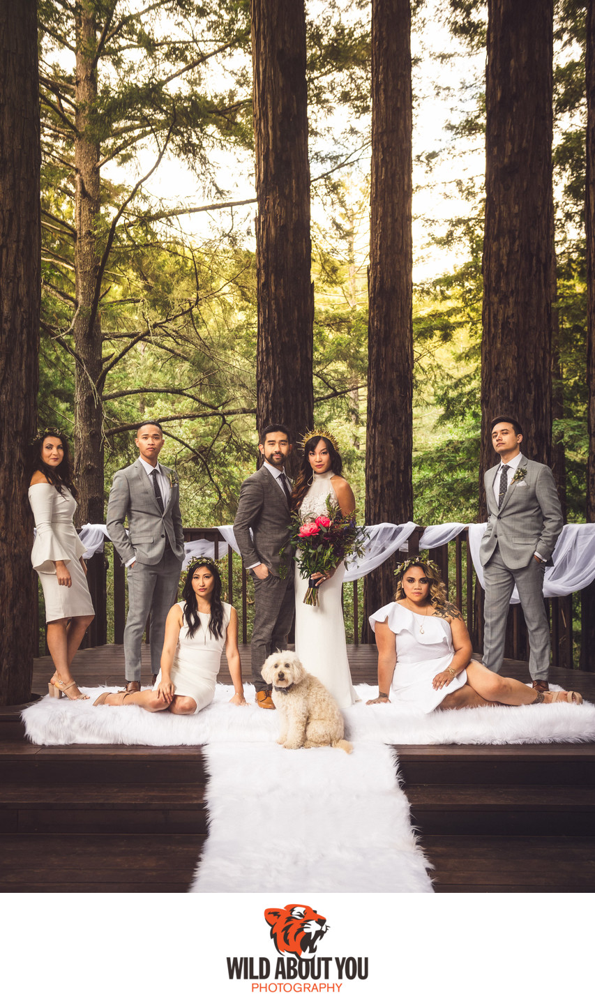 Wedding Photographer Redwoods Bay Area 