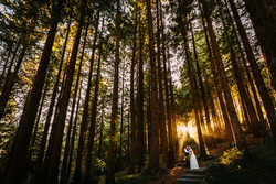 San Francisco Bay Area Wedding Lifestyle Photographers Wild