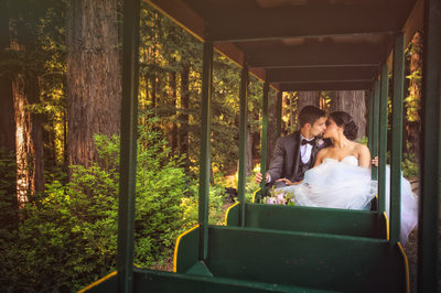 Cinematic Bay Area Wedding Photographers