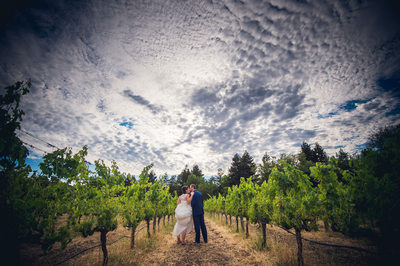 Wine Country wedding photographer