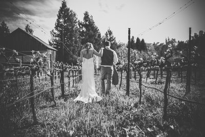 wine country elopement photographer