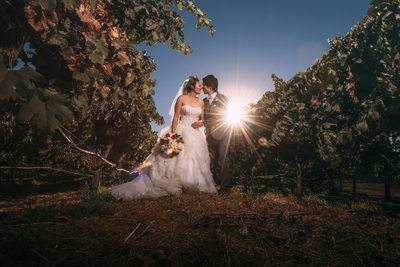 livermore vineyard wedding photography