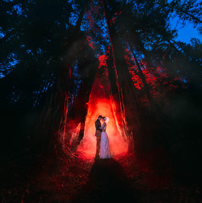 Wedding Photographers Redwoods Bay Area