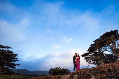 maternity photographers SF Bay Area