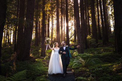 Berkeley Botanical Garden Wedding Photographer