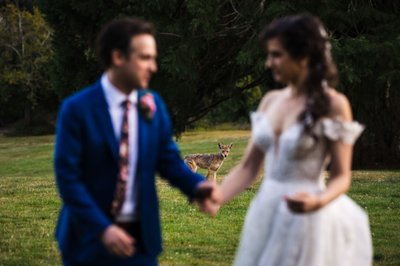  Brazilian Room wedding photographer