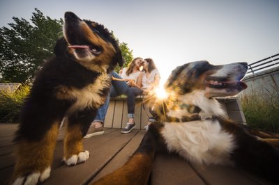 gay-friendly Berkeley engagement photographers