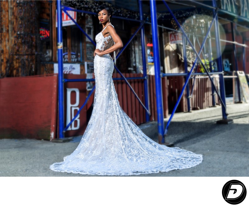 Paris Blues Bridal Gown Harlem Photographer