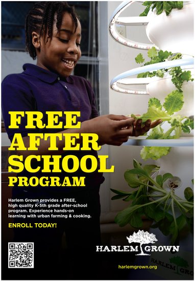 Harlem Grown After-School Ad Campaign 