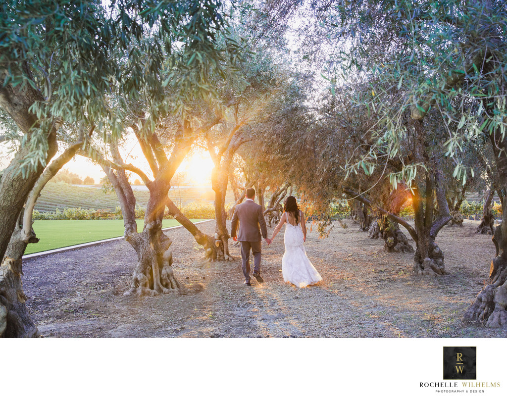 Olive Grove Wedding Leal vineyards