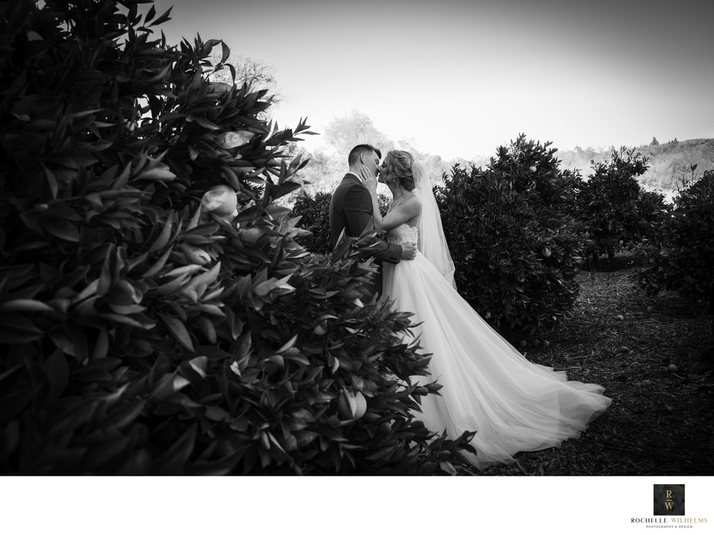 Top Wedding Photography at The Flower Farm in Loomis