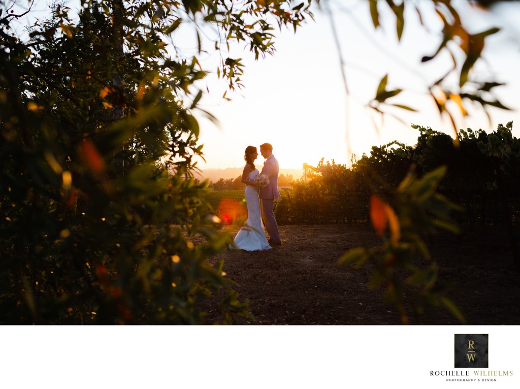 Best Sunset Wedding Photography in Sebastopol
